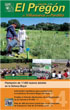 Nº 34. Mayo 2008