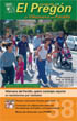 Nº 38. Noviembre 2008