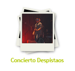 Banner Concierto Despistaos