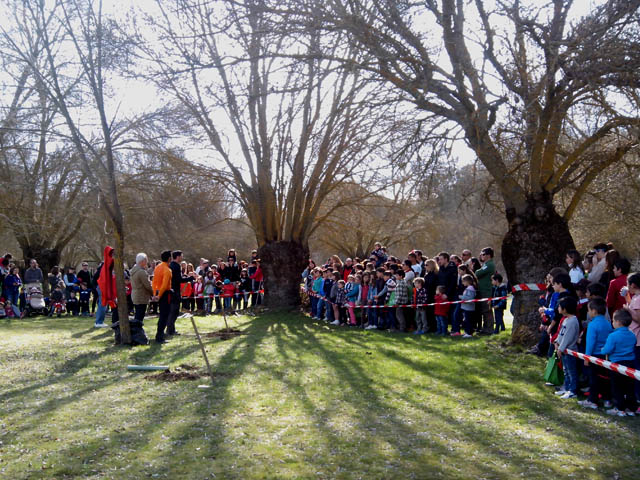 VI Jornada de Reforestación Toyota en la Dehesa Boyal de Villanueva del Pardillo