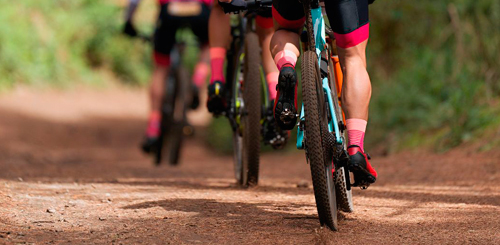 Juego patológico (CRIDJ)