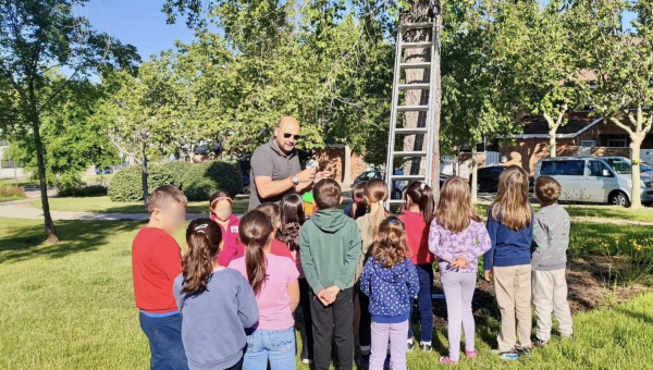 Villanueva del Pardillo instala pajareras en sus parques junto a los alumnos del Colegio Carpe Diem