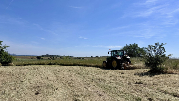 Comienzan las labores de desbroce en las parcelas de titularidad municipal en Villanueva del Pardillo