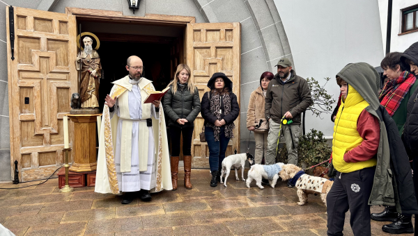 Gran acogida de San Antón en Villanueva del Pardillo 