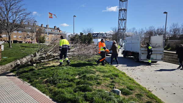 Balance de daños tras el episodio de fuertes vientos en Villanueva del Pardillo