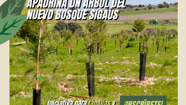 Villanueva del Pardillo siembra futuro. Apadrina un árbol del nuevo Bosque SIGAUS