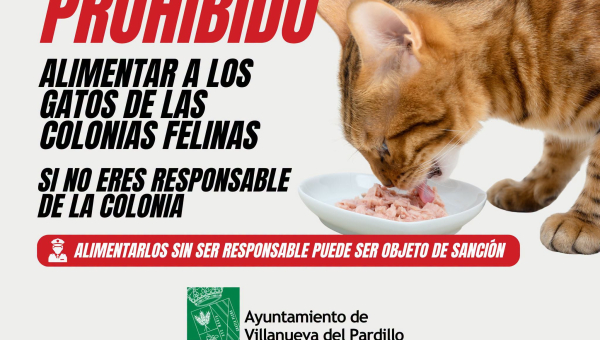 Por el bienestar de los gatos de las colonias felinas, se ruega no alimentarlos si no eres el responsable de la colonia