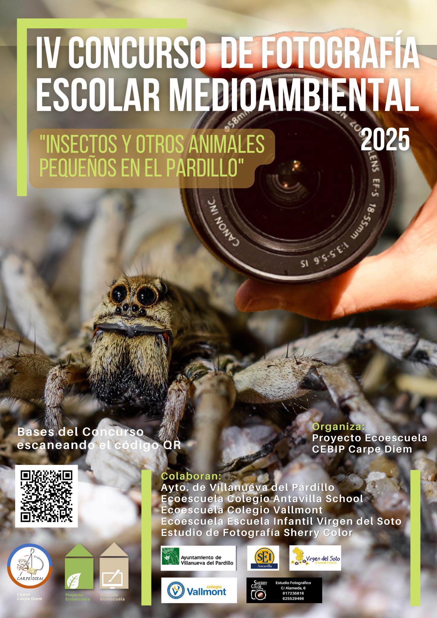 IV Edición del Concurso de Fotografía Escolar Medioambiental “Insectos y otros animales pequeños en el Pardillo”