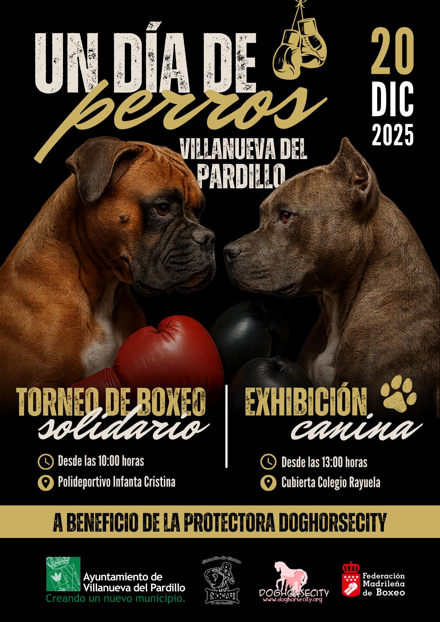 Torneo de boxeo solidario y exhibición canina “Un día de perros” en Villanueva del Pardillo