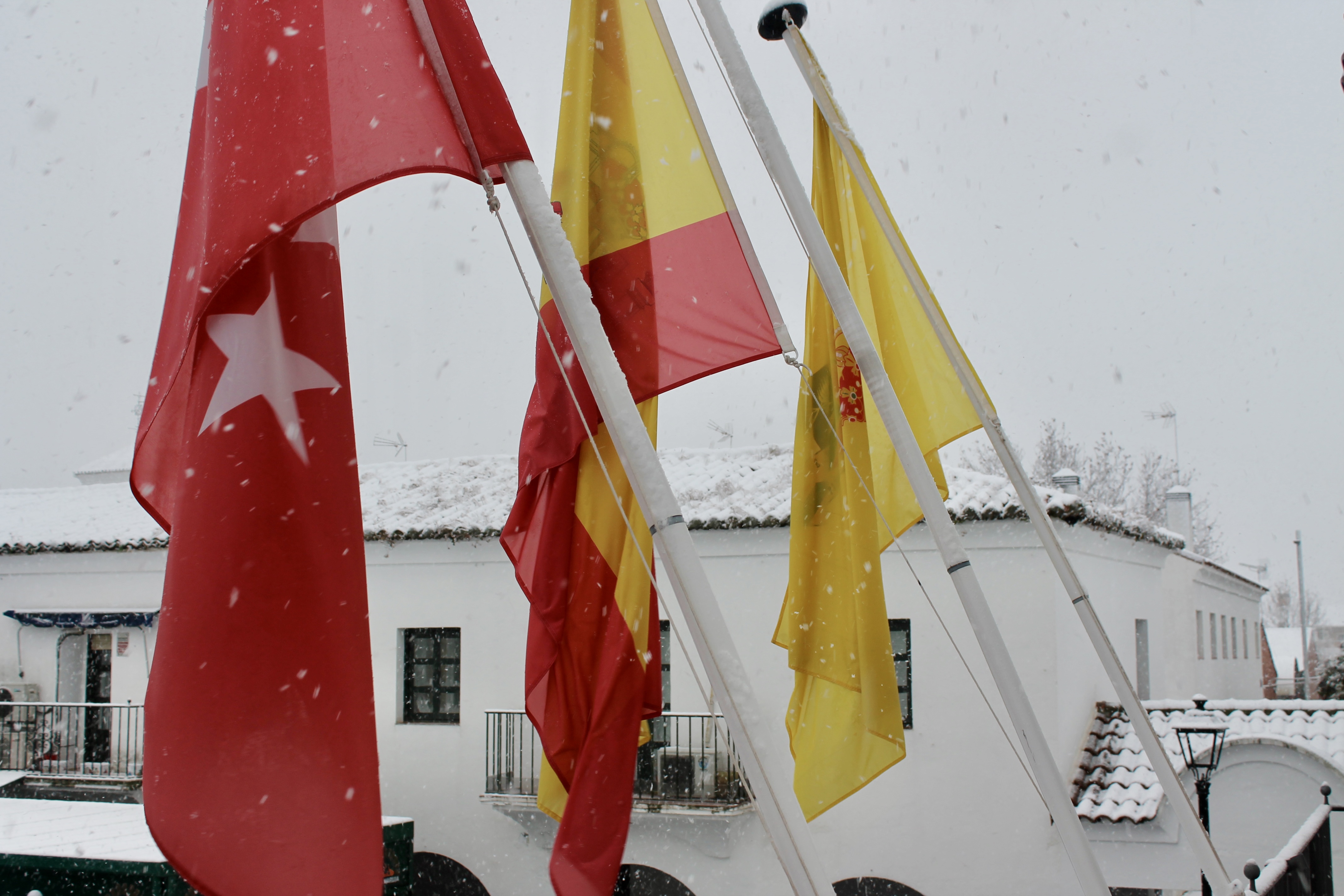 ÚLTIMA HORA. Desconvocado el Pleno Ordinario de enero