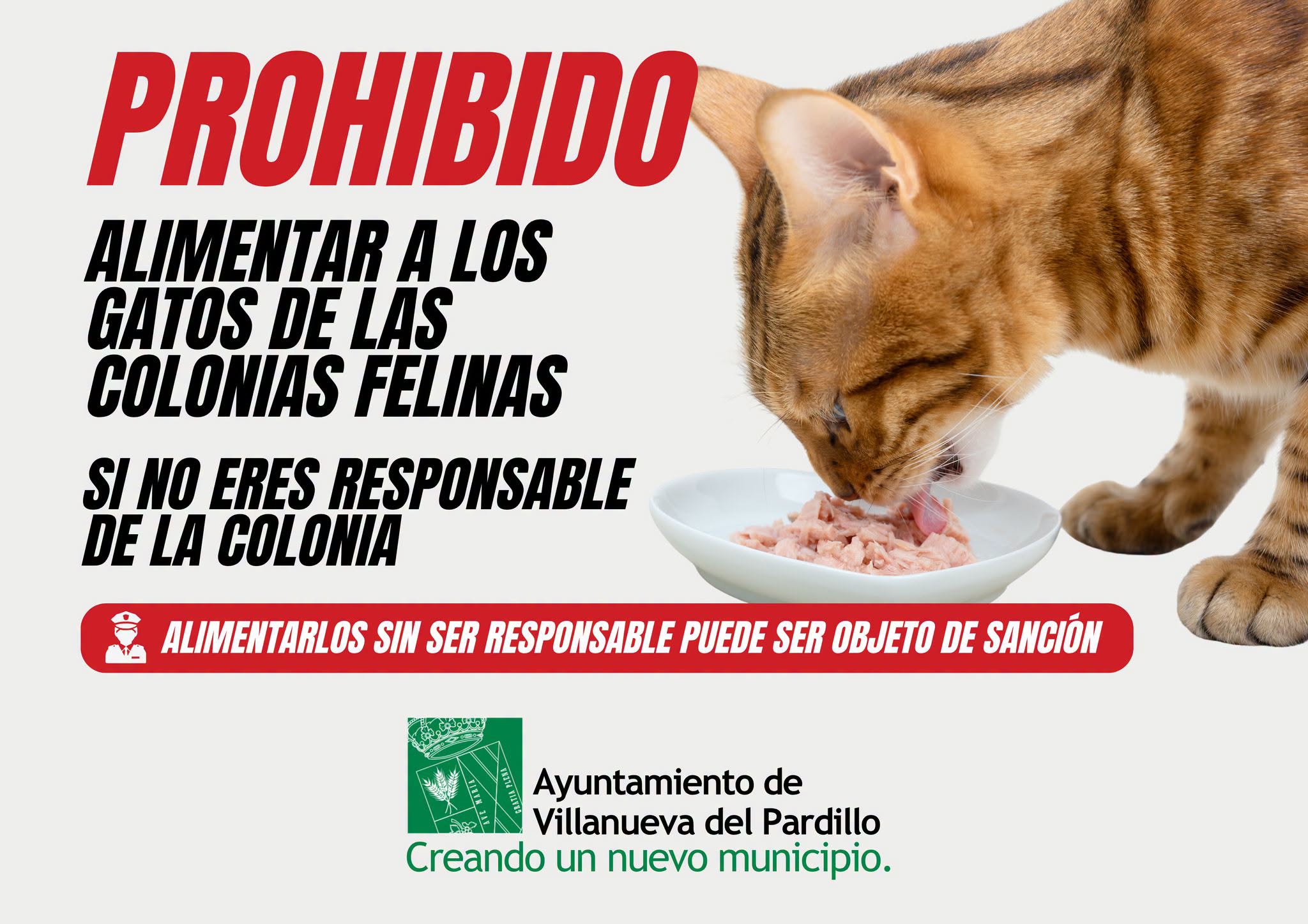Por el bienestar de los gatos de las colonias felinas, se ruega no alimentarlos si no eres el responsable de la colonia