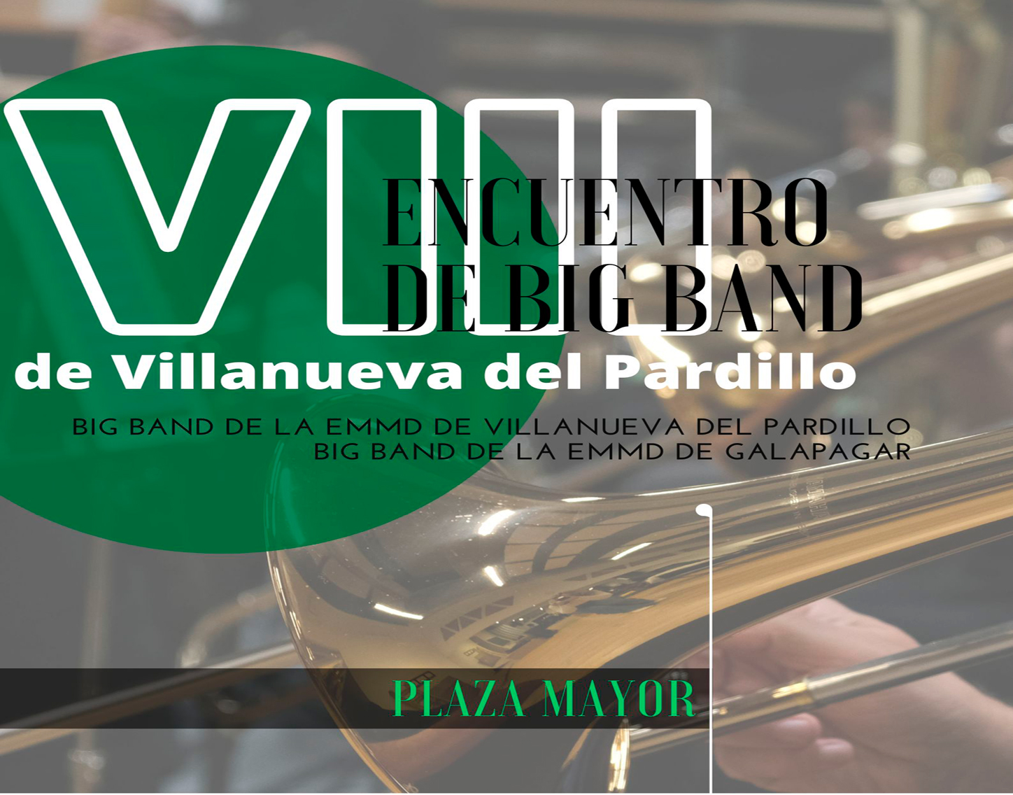 VIII Encuentro de Big Band Villanueva del Pardillo, viernes 13 de junio'25