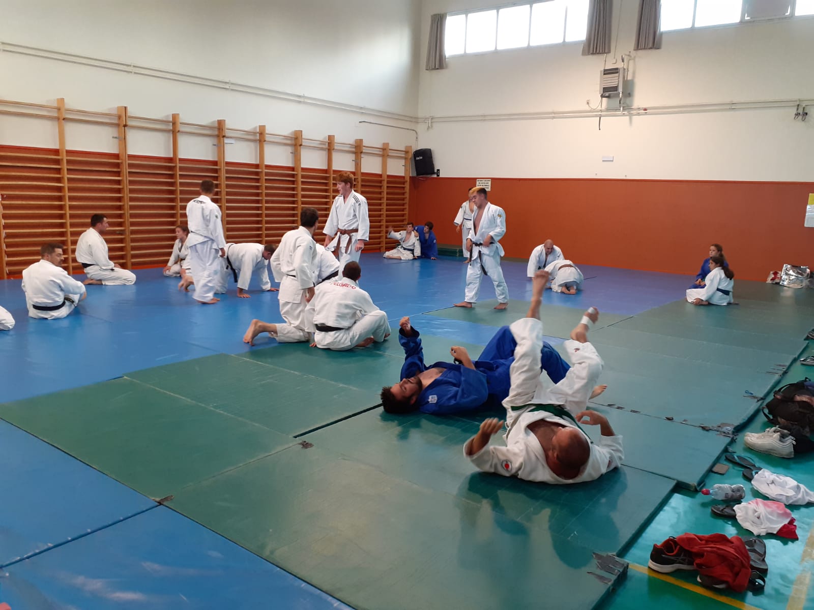 Judo 2