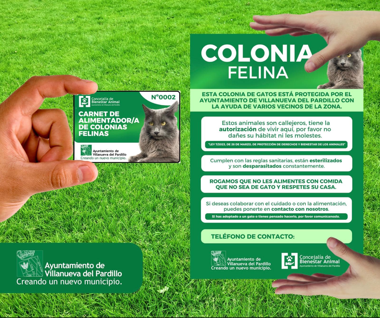 PLAN DE PROTECCIÓN DE COLONIAS FELINAS EN VILLANUEVA DEL PARDILLO. 23/05/2024.